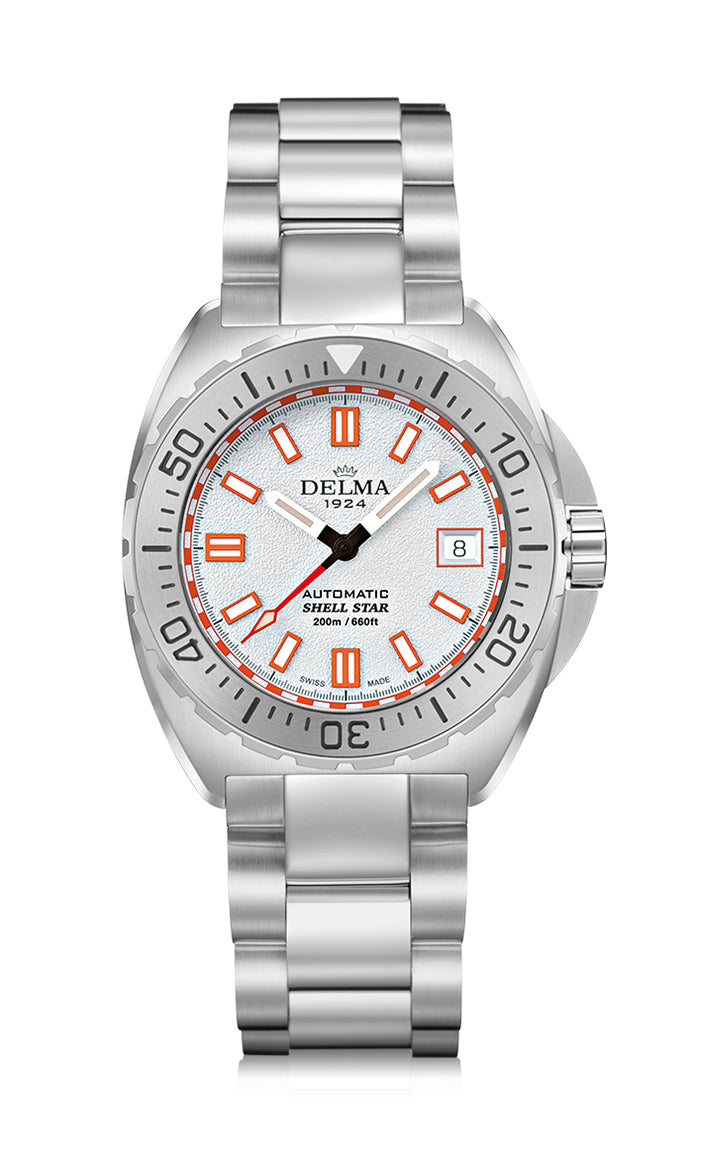 シェルスター41mm