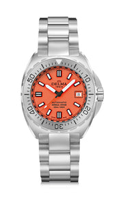 シェルスター41mm