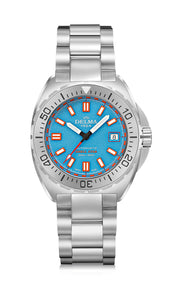 シェルスター41mm