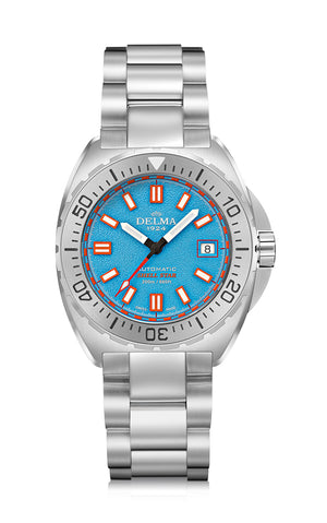 シェルスター41mm